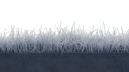 Close-up of frozen grass, frost, and ice on the ground . Isolated on transparent background, png