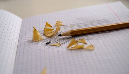 Photo of graphite pencil with shavings