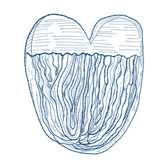 Sketch german sweets with chocolate vintage dessert line art, doodle