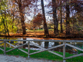 Autumn at Parco Sempione, Milan