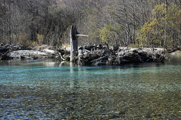 秋の上高地　大正池