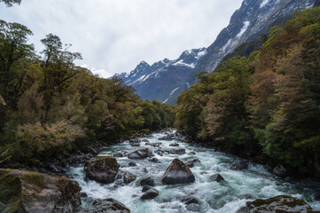 Tutoko Valley River, Milford Sound, New Zealand