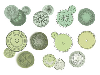 Landscape plan trees garden architectural plan master plan hand drawn sketch doodle shrubs plants flower garden graphics details top