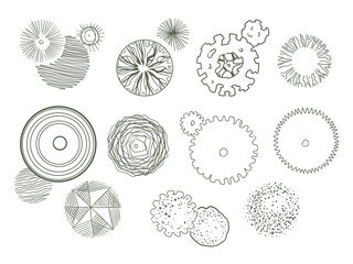 Landscape plan trees garden architectural plan master plan hand drawn sketch doodle shrubs plants flower garden graphics details top