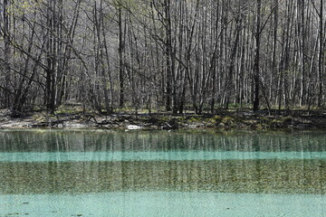 秋の上高地　大正池