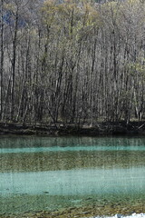 秋の上高地　大正池