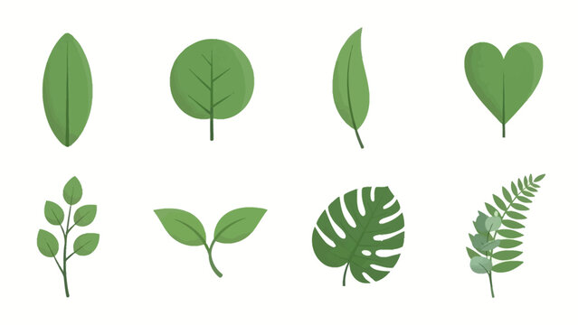 Collection of green plant leaves in various shapes and forms
