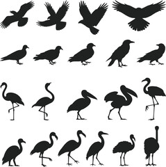 Obraz premium Bird and waterfowl silhouettes collection flying standing and wading poses isolated vector illustration for wildlife nature ornithology stock design