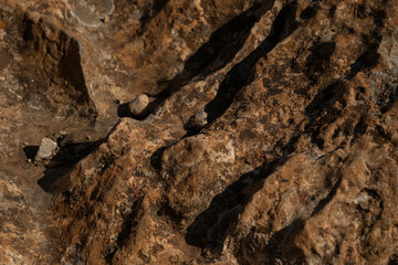 Karren (lapiaz) furrows on a limestone rock covered by lichens. Torcal de Antequera, Malaga, Spain