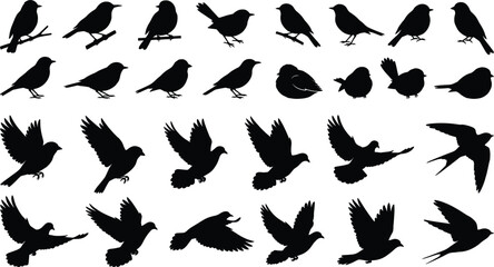 Bird silhouettes set with perched and flying poses isolated on white background wildlife nature vector illustration collection design clipart bundle © Creative Soul