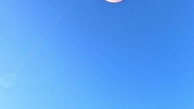 Pastel helium balloon cluster enters from lower left, floats higher and drifts right on a light breeze, then separates until only one balloon remains near the top of the clear sky for celebration.