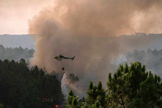 Helicopter with red helibucket dropping water onto a wildfire in a pine forest in Ourense, Spain