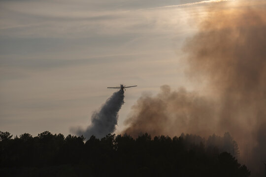 Agricultural aircraft dropping water onto a wildfire in a pine forest. Ourense, Spain