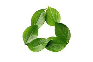 Three leaves in a triangular arrangement against a black backdrop, symbol of nature's recycling