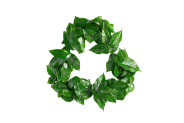 A vibrant, glossy green recycling symbol crafted from fresh, leafy foliage on a black background