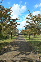 秋の水道公園に広がる緑の景観（新潟県長岡市）