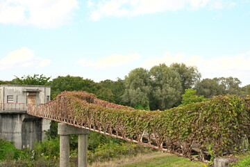 長岡市水道公園に残る配水施設と秋の風景（新潟県長岡市）