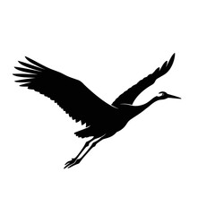 Graceful black silhouette of a flying crane bird with outstretched wings on a white background.