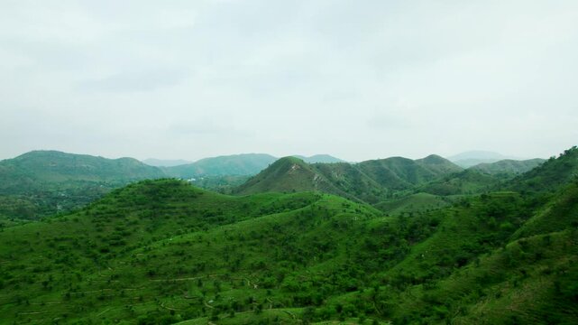 4K Aerial view of lush green forest in Aravalli hills in Udaipur, Rajasthan, India. Aravali hills and clouds in sky during monsoon season. Nature, environment and ecology concept. 