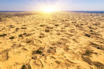 Endless golden dunes under bright sunlight