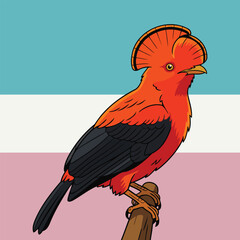 Andean Cock of the Rock Perched on a Branch - Animal Character Vector Illustration 