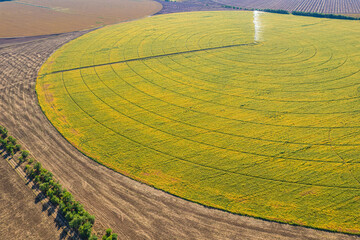 Aerial view of harvested circular farmland patterns