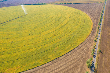 Aerial view of circular crop field with irrigation system