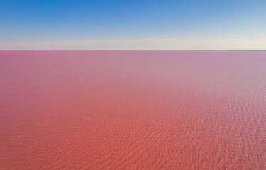 Aerial view of vast pink salt lake