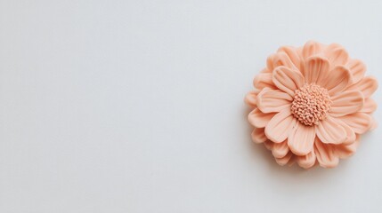 A soft peach flower sits against a clean white background, ideal for design projects, floral themes, or product promotions, This image brings a touch of elegance and freshness to various media,