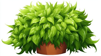 Lush green foliage in a terracotta pot, ideal for use in gardening articles, home decor projects, or eco-friendly designs, bringing a fresh touch to any creative work,