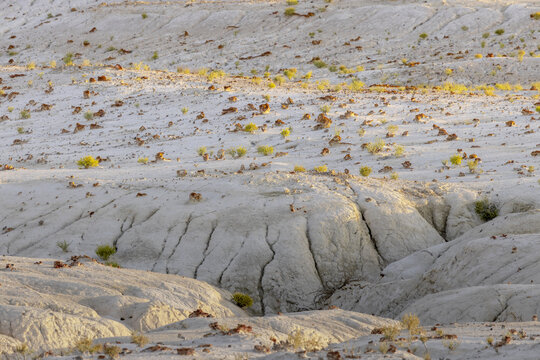 View of sun-kissed white rock formations reveal intricate patterns, dotted with sparse green vegetation and reddish-brown stones in Senek, Mangystau Region, Kazakhstan.
