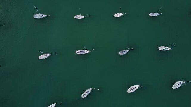 Top-down drone video of white motor yachts anchored in perfect geometric rows on Lake Garda, Italy, near Sirmione, Malcesine, Limone, Riva del Garda, Bardolino, and Desenzano, showcasing symmetry