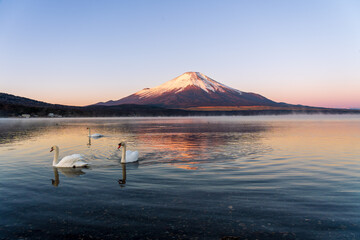 冬の山中湖の湖面に映る紅富士