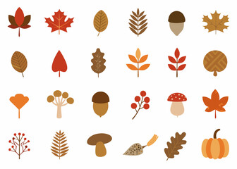 Autumn collection colorful leaves acorns pumpkins and mushrooms illustration
