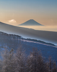 冬の霧ヶ峰高原から白く輝く霧氷と富士山