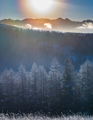 厳冬の霧ヶ峰高原から白く輝く霧氷と八ヶ岳