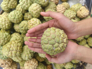 Obraz premium A hand holds a ripe sugar apple over a pile of tropical fruits. Fresh organic custard apple from a local market, ideal for healthy food and nutrition themes.