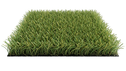 A close up view of a vibrant green grassy area isolated on a transparent background