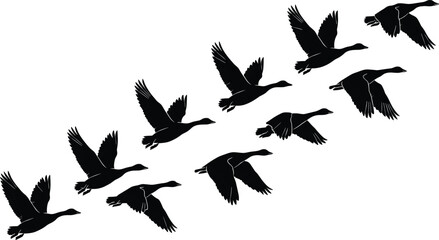 Flying geese silhouettes forming diagonal flock pattern black vector illustration isolated on white background wildlife migration concept nature bird design © Creative Soul