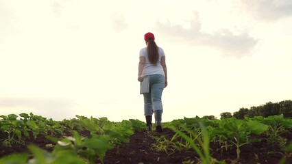 Agriculture, Female farmer checking crops, Digital analysis of plants, Rural technology advancements, Agriculture in the 21st century, Fieldwork and technology integration, Hands-on crop monitoring
