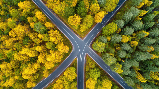 pivotal. Aerial view of a forked path in an autumn forest, representing pivotal life choices. representing seasonal cycles and harvest abundance.

