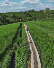 Female Tourist Walking Rice Fields Path, Aerial Drone View Over Emerald Terraced Paddies In Ubud Bali Solo