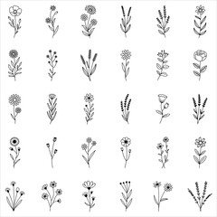 Cornflower SVG Clip Art