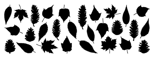 Naklejka premium Black silhouette illustrations of pine cones and various leaves isolated on transparent background