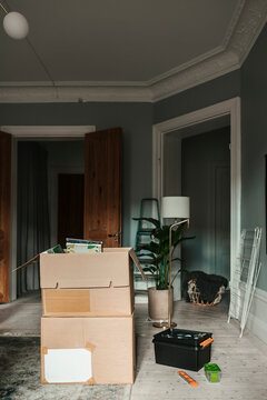 Cardboard boxes kept in living room at new home