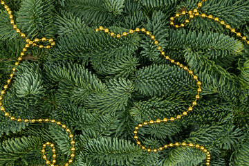 Evergreen Fir Branches with Golden Garland Christmas and New Year Flat Lay Background