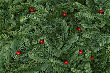 Evergreen Fir Branches with Red Berries Christmas and New Year Flat Lay Background