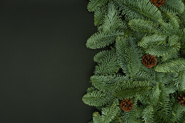 Evergreen Fir Branches with Cones Flat Lay on Dark Background with Copy Space