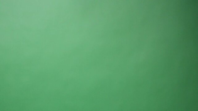 Feathers. Slow Motion of white feathers or bird wings falling against green screen background studio. Slowmotion soft feather falling down on air slowly to ground on greenscreen backdrop chroma key.