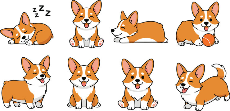 Cute corgi dog poses vector illustration set with playful sleeping sitting and smiling cartoon pet characters